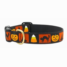 Collar | Halloween