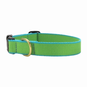 Collar | Lime & Aqua
