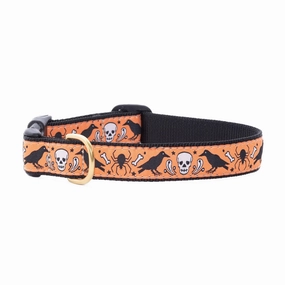 Collar | Nevermore