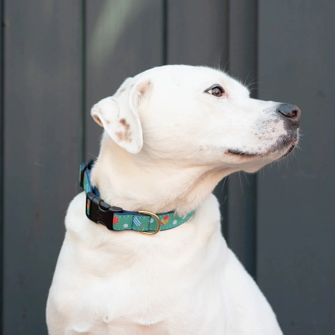 Collar | Pickleball