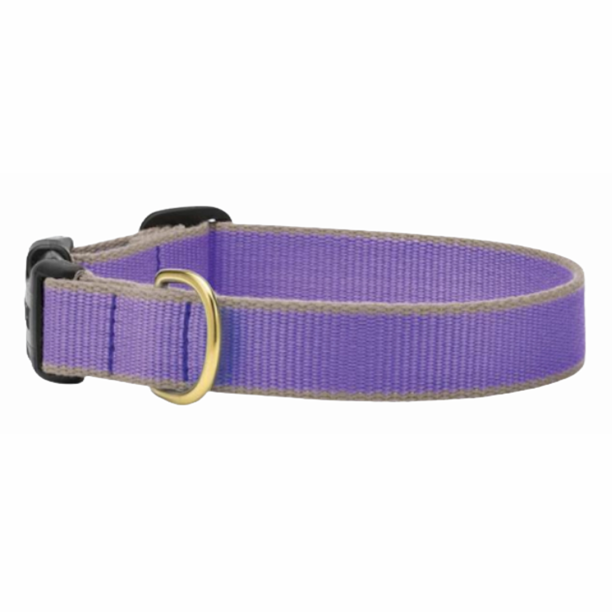 Collar | Purple & Gray