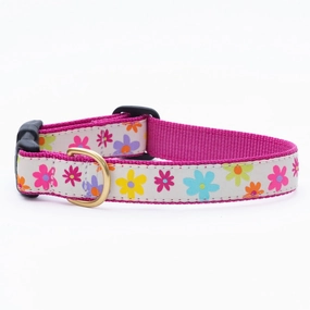 Collar | Spring Fever