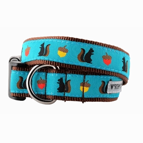 Collar | Squirrelly