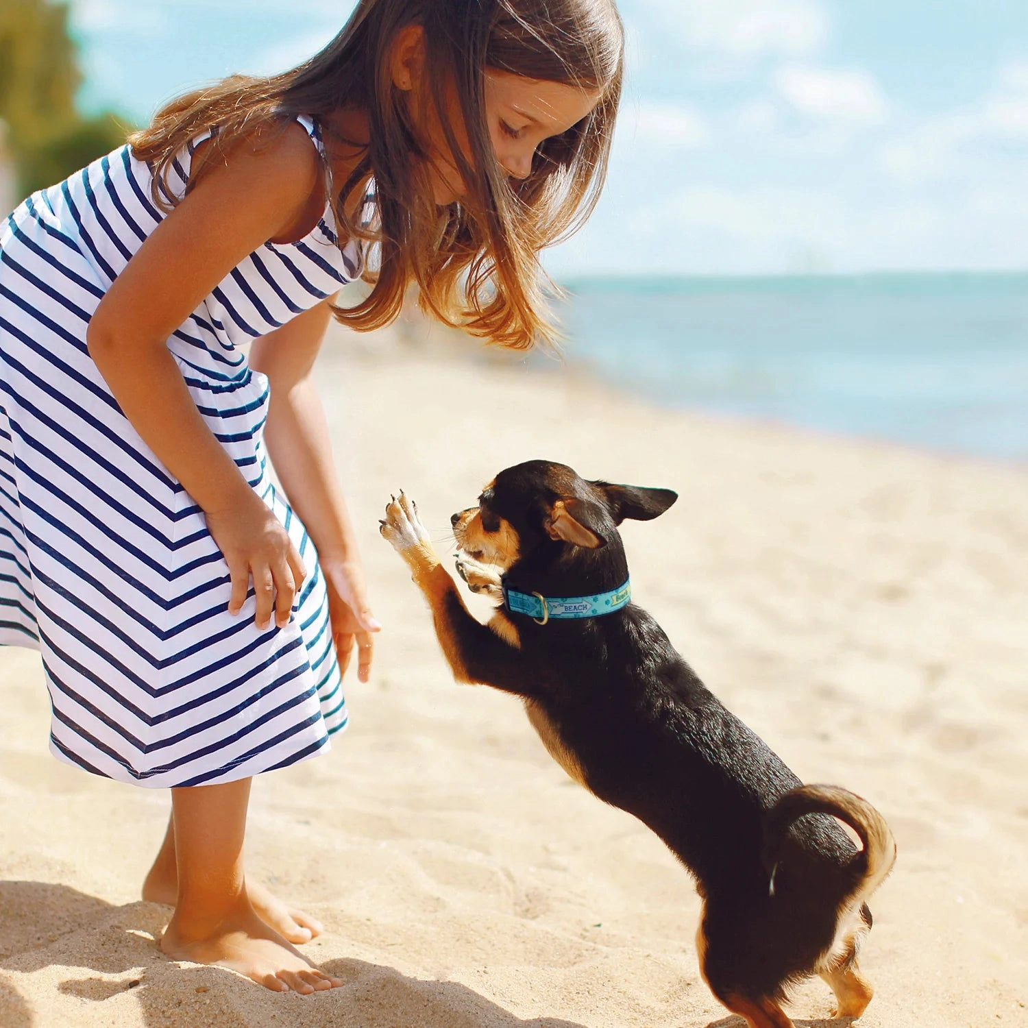 Collar | To The Beach