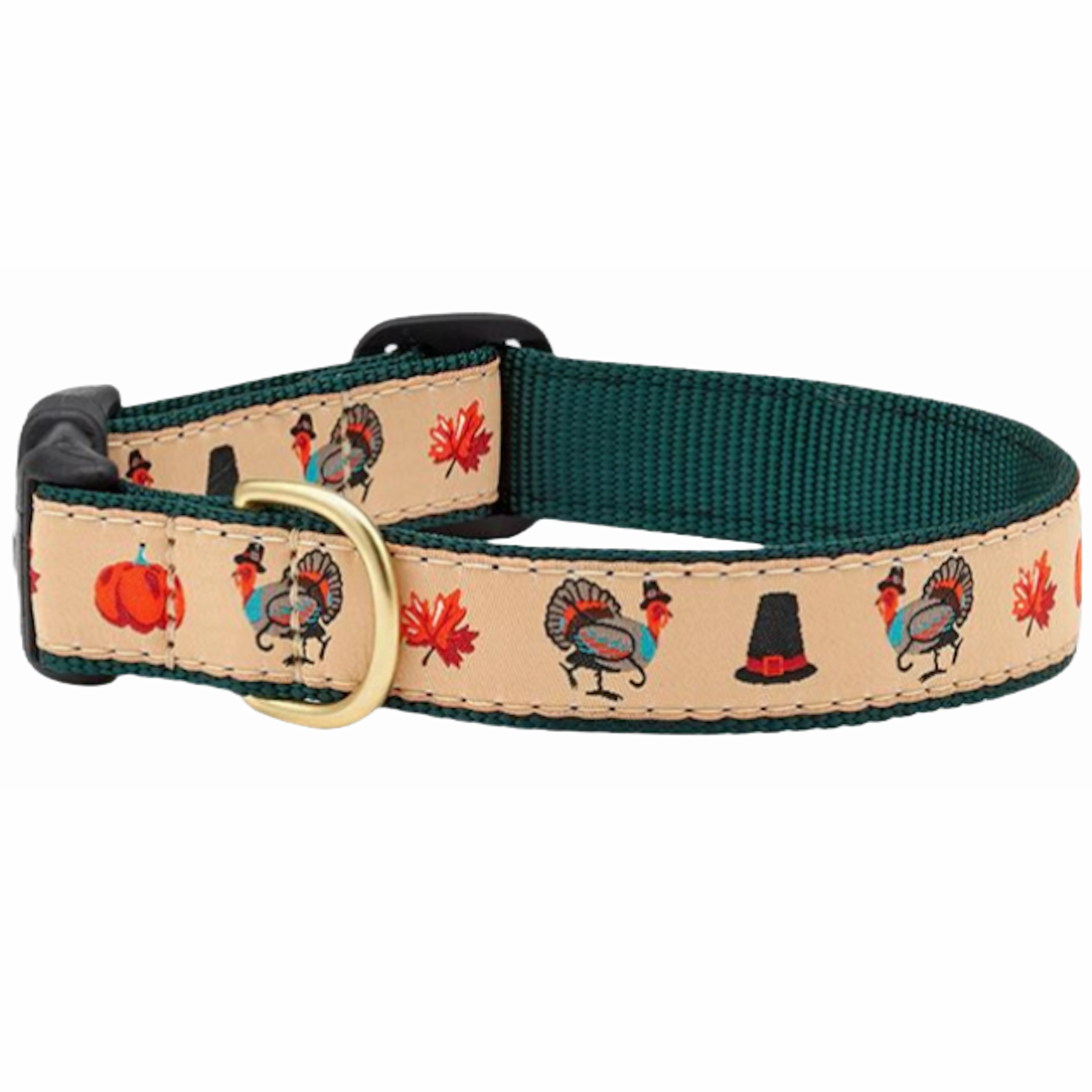Collar | Turkey Trot
