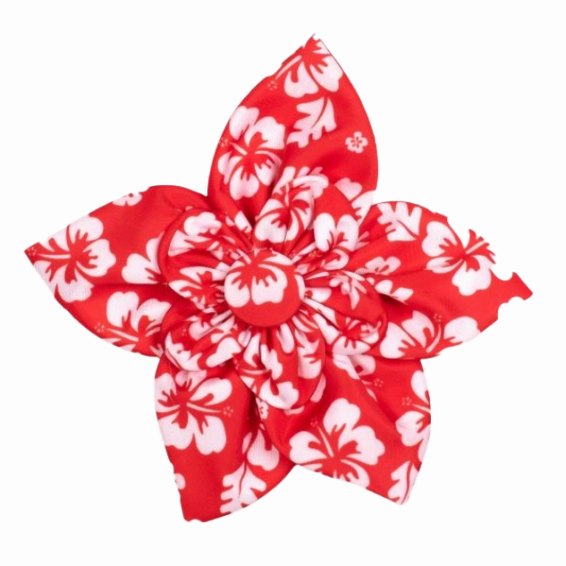 Collar Flower | Aloha Coral