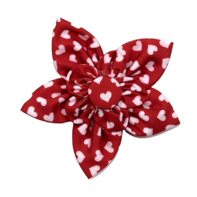 Collar Flower | Be Mine