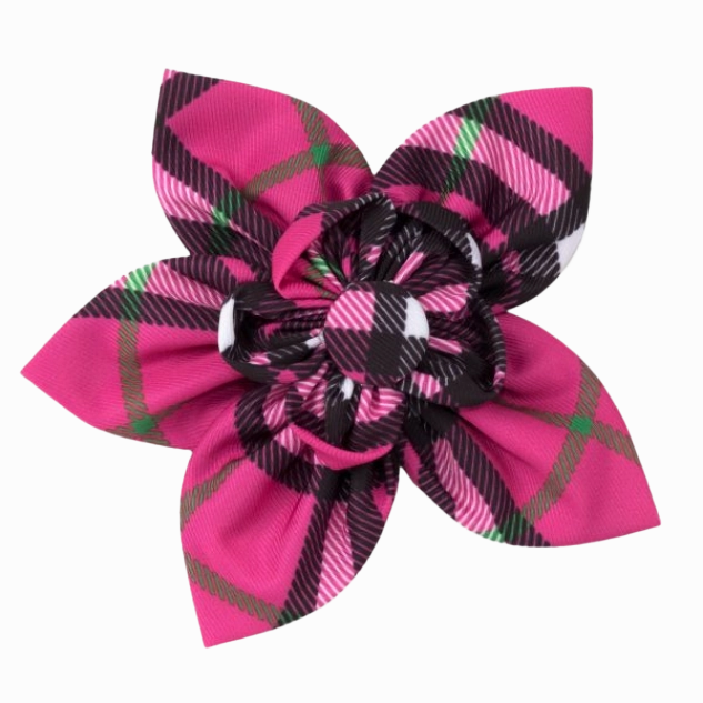 Collar Flower | Bias Plaid Pink