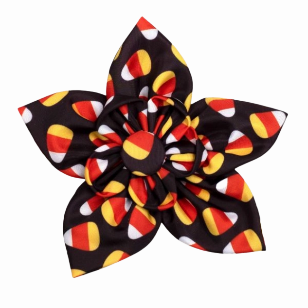 Collar Flower | Candy Corn