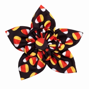 Collar Flower | Candy Corn