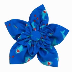 Collar Flower | Chomp Sharks