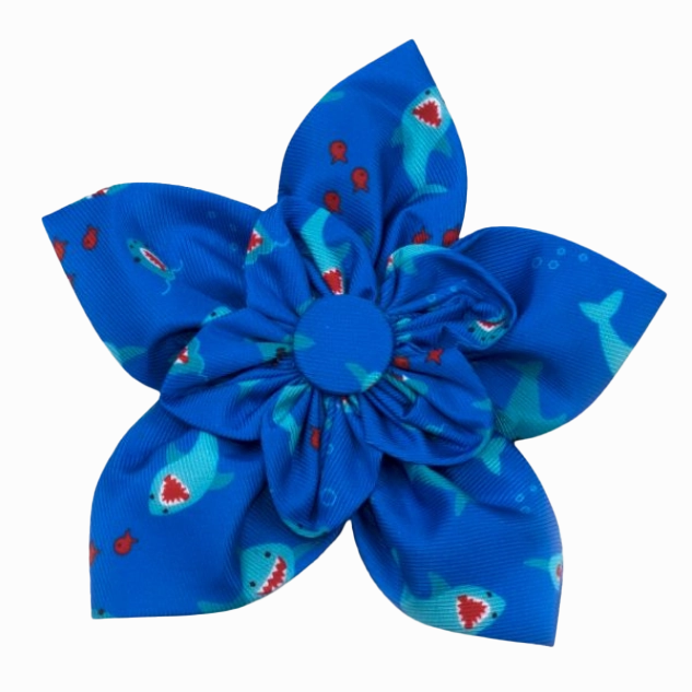 Collar Flower | Chomp Sharks