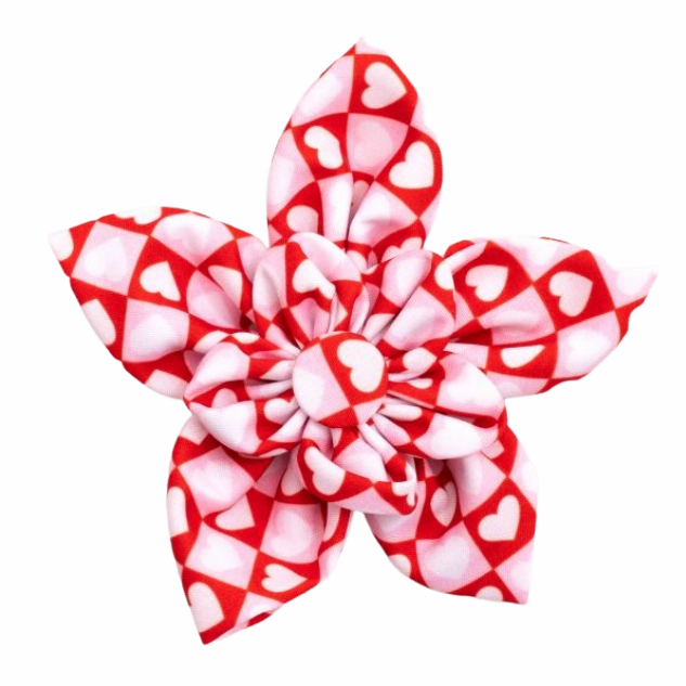 Collar Flower | Colorblock Hearts