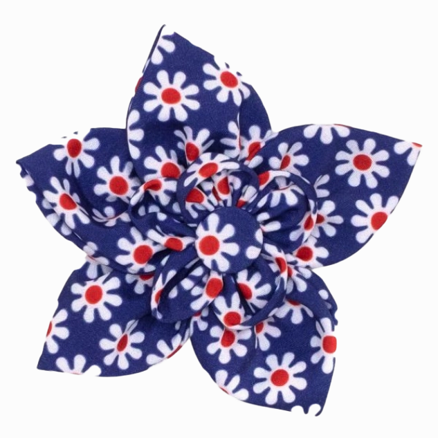 Collar Flower | Daisies