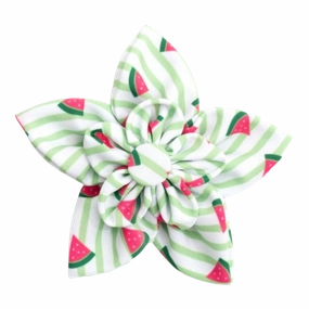 Collar Flower | Green Stripe Watermelon