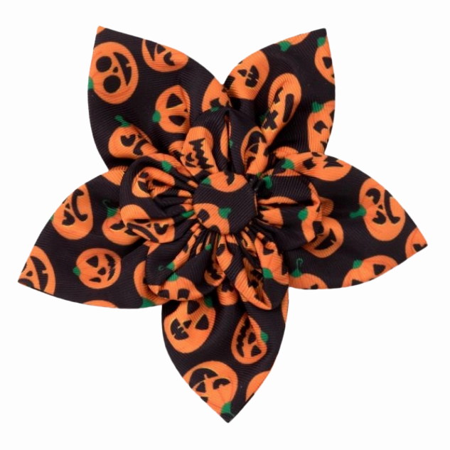 Collar Flower | Jack-O-Lanterns