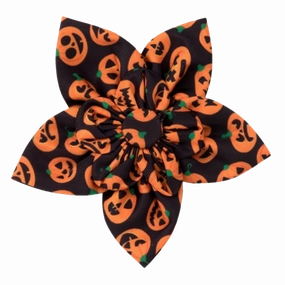 Collar Flower | Jack-O-Lanterns