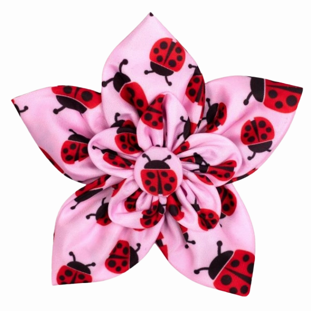 Collar Flower | Ladybugs