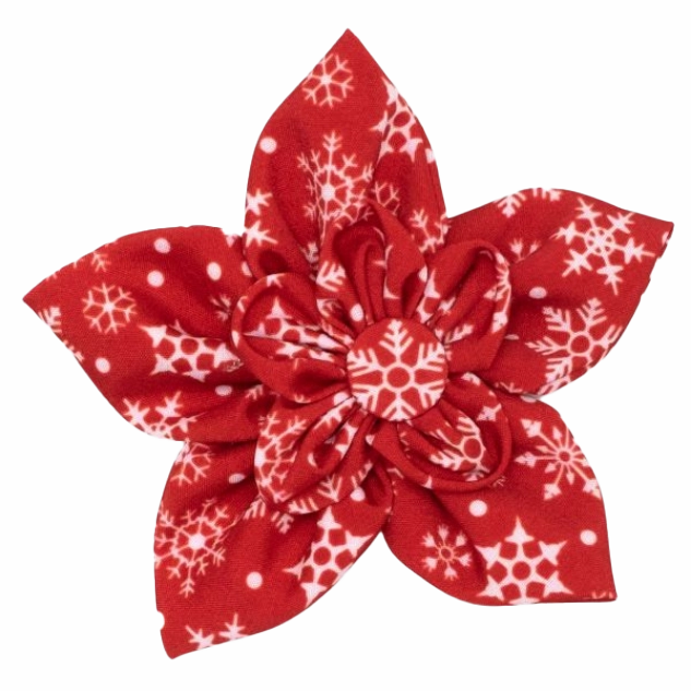 Collar Flower | Let It Snow