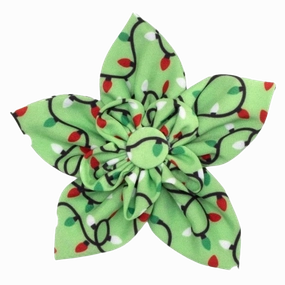 Collar Flower | Lit