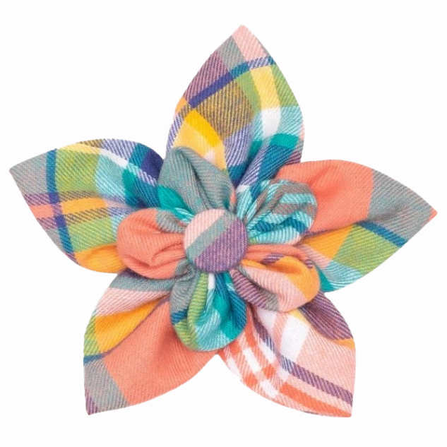 Collar Flower | Peach Plaid
