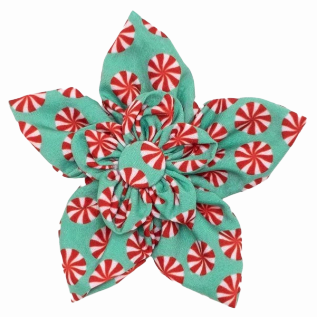 Collar Flower | Peppermints