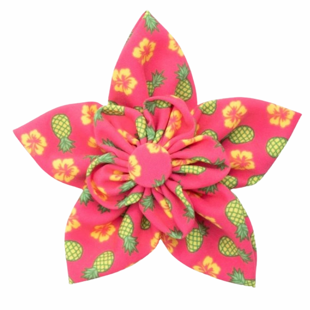 Collar Flower | Pineapple Delight