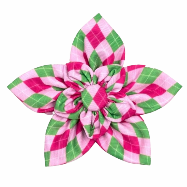 Collar Flower | Pink Green Argyle