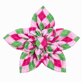 Collar Flower | Pink Green Argyle