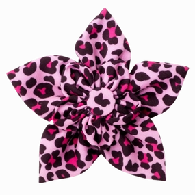 Collar Flower | Pink Leopard Print