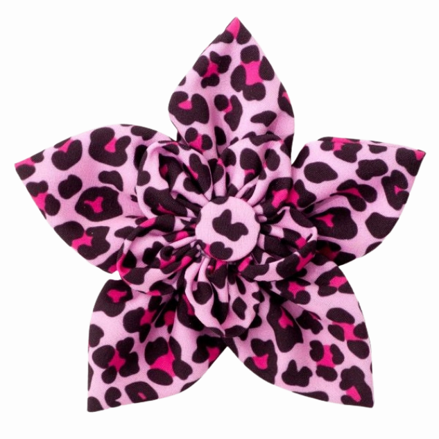 Collar Flower | Pink Leopard Print