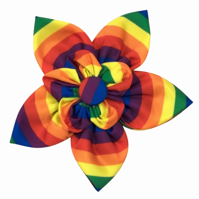 Collar Flower | Rainbow