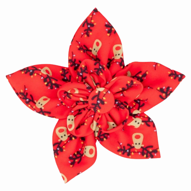 Collar Flower | Rudy Reindeer