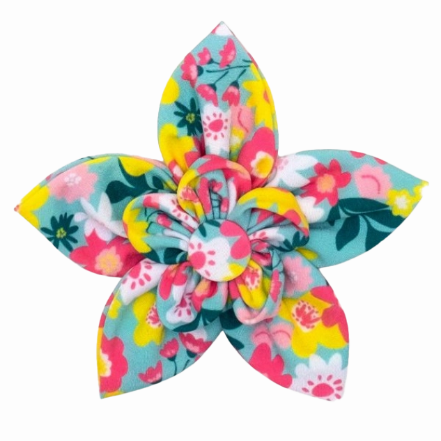 Collar Flower | Spring Bouquet
