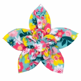 Collar Flower | Spring Bouquet