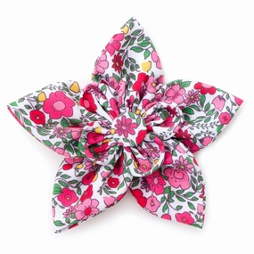 Collar Flower | Spring Garden