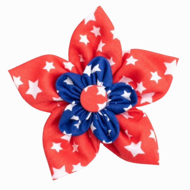 Collar Flower | Stars