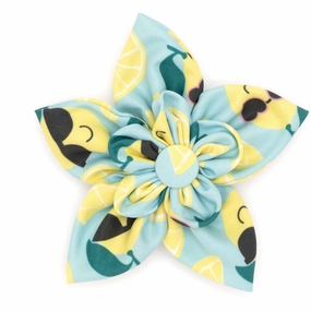 Collar Flower | Sunny Lemons