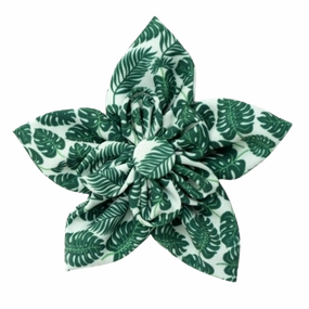 Collar Flower | Tropical Leaves