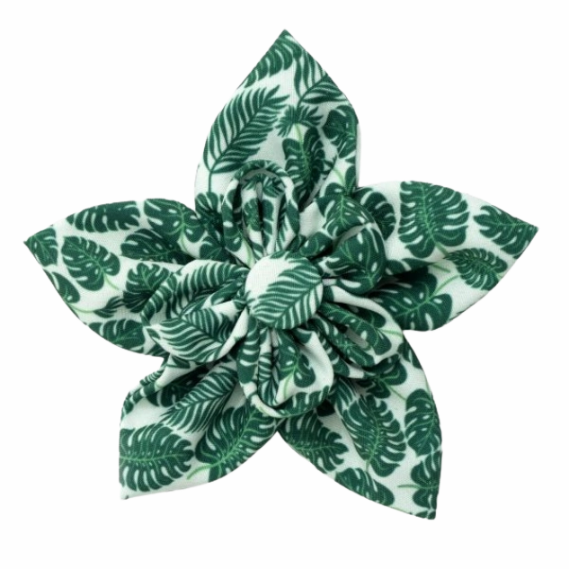 Collar Flower | Tropical Leaves