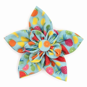 Collar Flower | Tutti Frutti