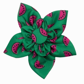 Collar Flower | Watermelon
