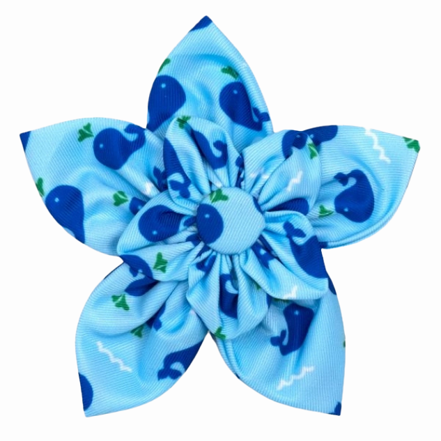 Collar Flower | Whales