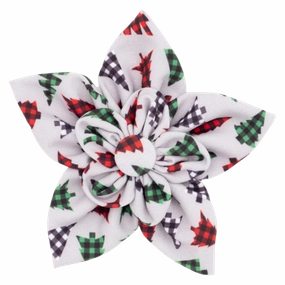 Collar Flower | Woodlands