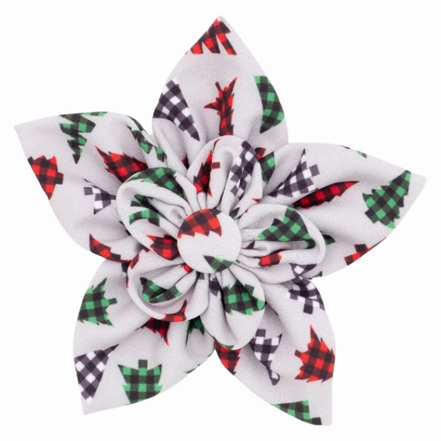 Collar Flower | Woodlands