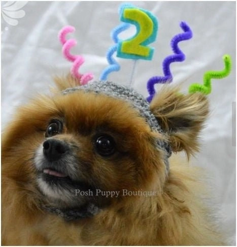 Crochet Birthday Beanie Hat- Custom Number
