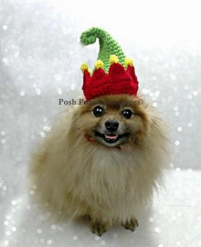 Crochet Elf Hat
