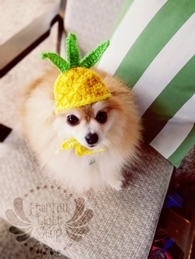 Crochet Pineapple Beanie Hat