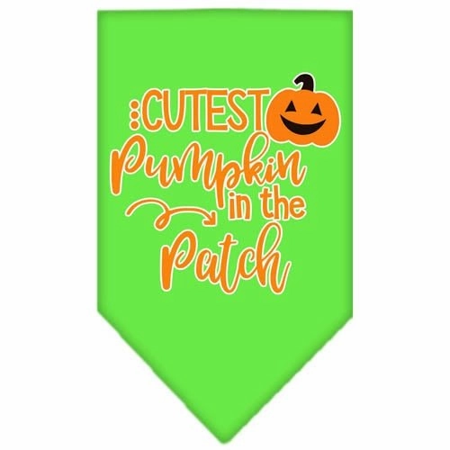 Cutest Pumpkin in the Patch Screen Print Bandana in Many Colors
