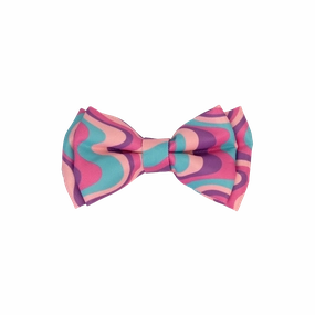 Dan & Sam - Dog Bowtie (Disco Party)